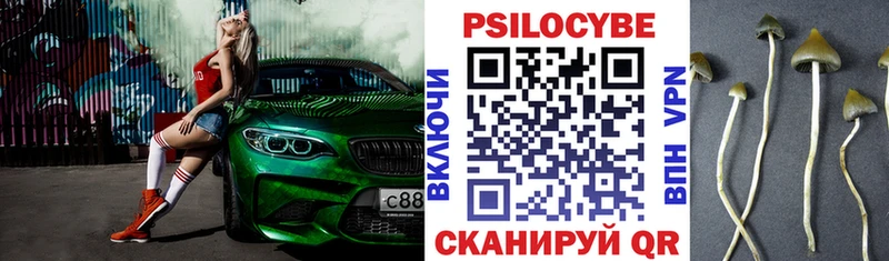 Псилоцибиновые грибы MAGIC MUSHROOMS  наркота  Амурск 