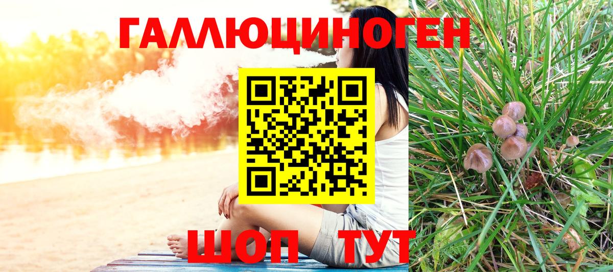 Псилоцибиновые грибы Magic Shrooms  Галлюциногенные грибы ЛСД  Вход с VPN  Амурск 