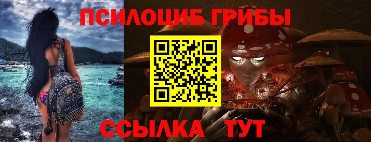 Псилоцибиновые грибы Psilocybine cubensis Амурск